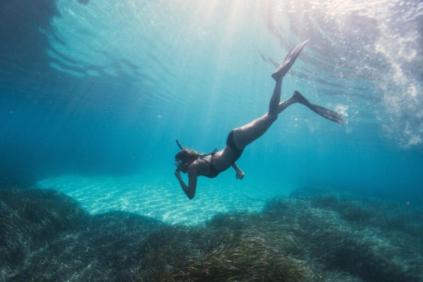 Snorkelling Safari